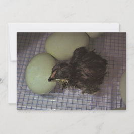 Minuten alt einladung