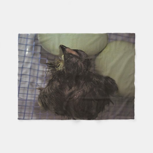 Minuten alt fleecedecke (Vorderseite (Horizontal))