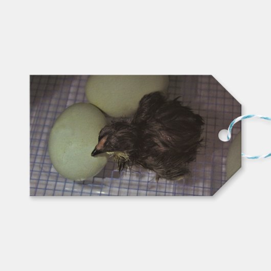 Minuten alt geschenkanhänger (Vorderseite (Horizontal))