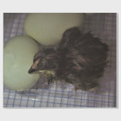 Minuten alt geschenkpapier (Flach)