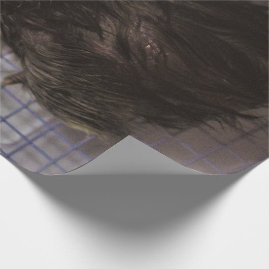 Minuten alt geschenkpapier (Ecke)