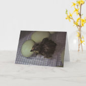 Minuten alt karte (Gelbe Blume)