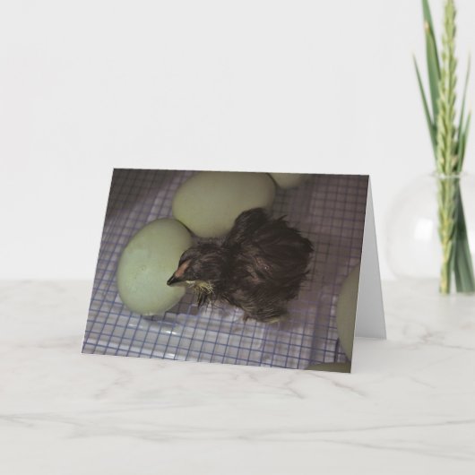 Minuten alt karte (Vorderseite)