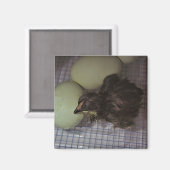 Minuten alt magnet (Vorderseite/Rückseite)