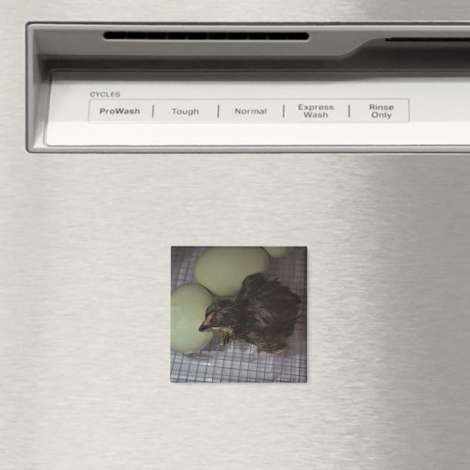 Minuten alt magnet (In Situ (Geschirrspüler))