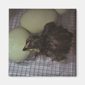 Minuten alt magnet (Vorne)