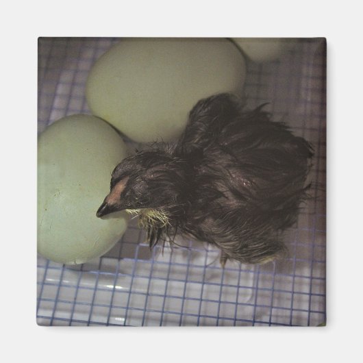 Minuten alt magnet (Vorne)