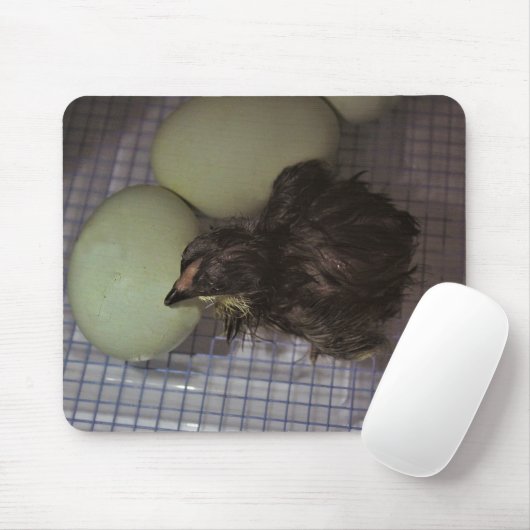 Minuten alt mousepad (Mit Mouse)