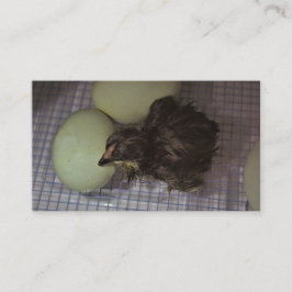 Minuten alt visitenkarte