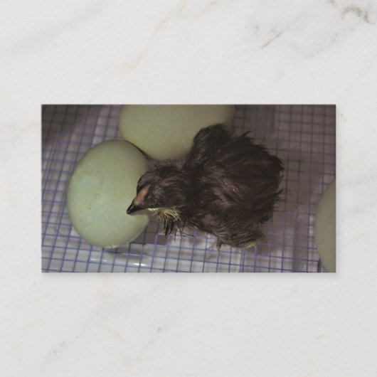 Minuten alt visitenkarte (Vorderseite)