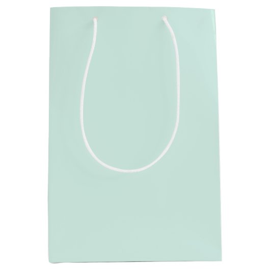 Minz-Wolke Mittlere Geschenktüte (Vorderseite)