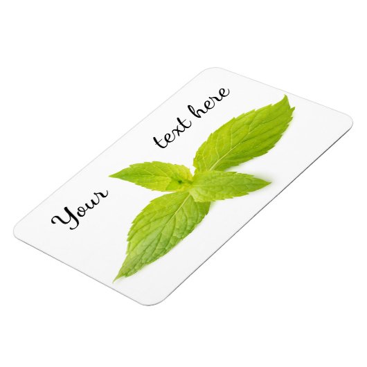 Minze Blätter Magnet (Linke Seite)