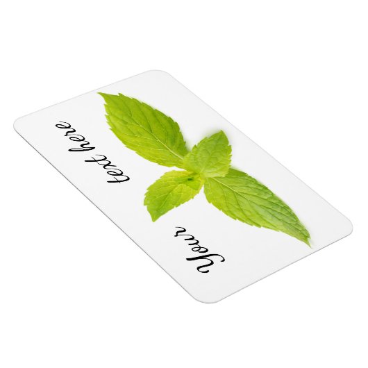 Minze Blätter Magnet (Rechte Seite)