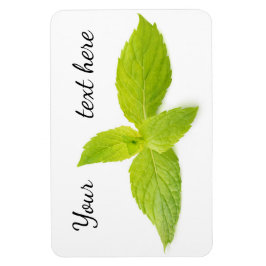 Minze Blätter Magnet