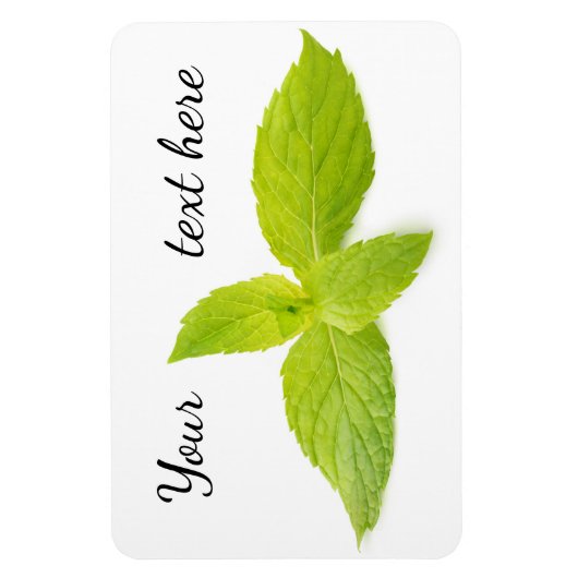 Minze Blätter Magnet (Vertikal)