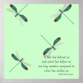 Minze Dragonflies, was hinter uns liegt Poster