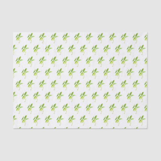 Minze Kraut Wasserfarbe Grüne Mama Muster Rustikal Seidenpapier (Vorderseite)