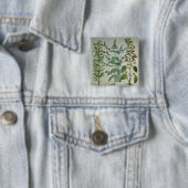 Minze: Mentha crispa Button (Beispiel)