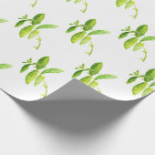 Minzkraut Aquarell Grüne Gartenküche Pflanze Geschenkpapier (Ecke)