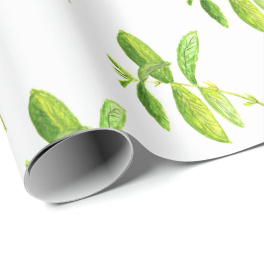 Minzkraut Aquarell Grüne Gartenküche Pflanze Geschenkpapier (Rolleneckpunkt)