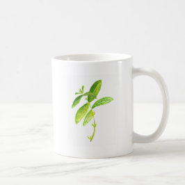 Minzkraut Wasserfarbe Botanischer Garten Kaffeetasse