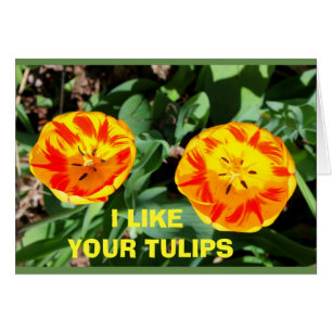 Mir gefallen deine Tulpen neben mir!