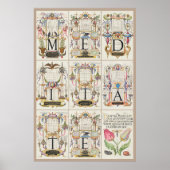 Mira Calligraphiae Monumenta Meditate Poster (Vorne)