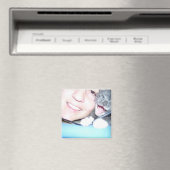 Mira und ich magnet (In Situ (Geschirrspüler))