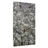 Mirabelle Blossom Clipboard Klemmbrett (Rechts)