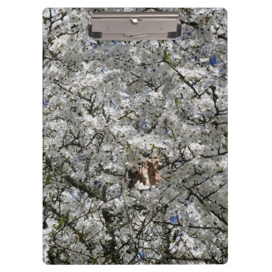 Mirabelle Blossom Clipboard Klemmbrett (Vorderseite)
