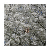 Mirabelle Blossom Keramik Tile Fliese (Vorderseite)