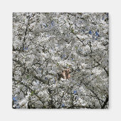 Mirabelle Blossom Kühlschrankmagnet (Vorne)