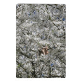 Mirabelle Blossom Mini Clipboard Klemmbrett (Rückseite)