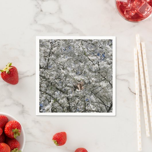 Mirabelle Blossom Paper Napkins Serviette (Beispiel)