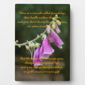 Miracle of Friendship Fotoplatte (Vorderseite)