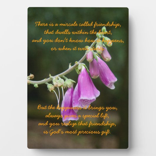 Miracle of Friendship Fotoplatte (Vorderseite)