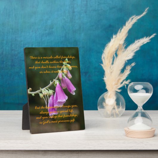 Miracle of Friendship Fotoplatte (Seite)