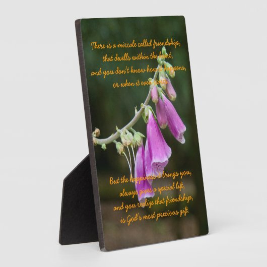 Miracle of Friendship Fotoplatte (Seite)