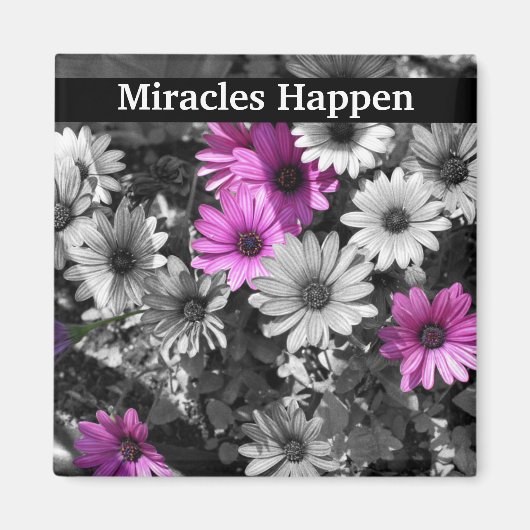 Miracles Happen Daisies Inspiration Magnet (Vorne)