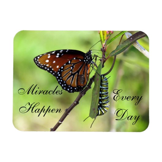 Miracles Happen Magnet (Horizontal)