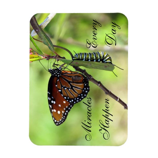 Miracles Happen Magnet (Vertikal)