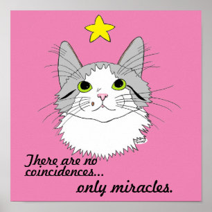 Miracles Inspirational Gizmo Kat Poster