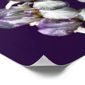 Miracles passieren Iris-Blume Inspiration Poster (Ecke)