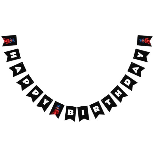 Miraculous Ladybug Birthday Wimpelkette (Alle)