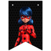 Miraculous Ladybug Birthday Wimpelkette (Erste Fahne)