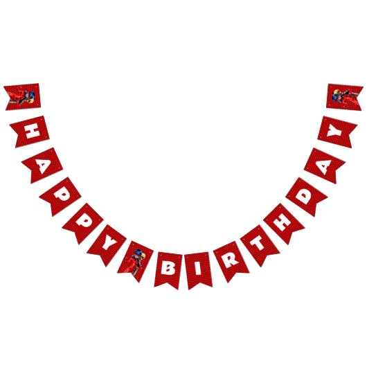 Miraculous Ladybug & Cat Noir Birthday Wimpelkette (Alle)