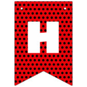 Miraculous Ladybug & Cat Noir Birthday Wimpelkette (Zweite Fahne)