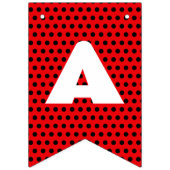 Miraculous Ladybug & Cat Noir Birthday Wimpelkette (Dritte Fahne)