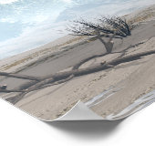 Miragaia dinosaur - 3D rendern Poster (Ecke)