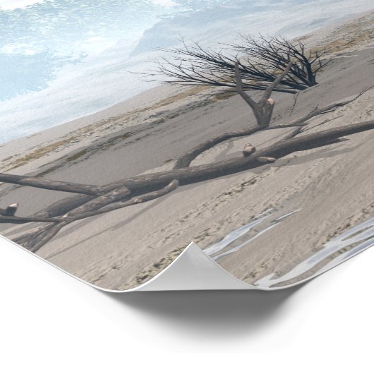 Miragaia dinosaur - 3D rendern Poster (Ecke)